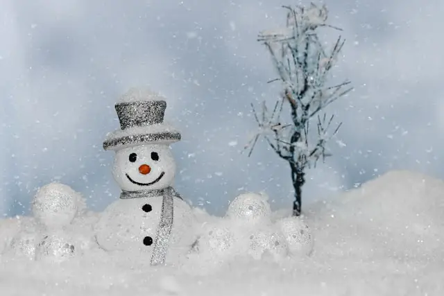 winter wonderland party